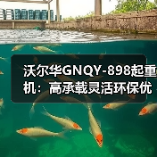 沃尔华GNQY-898起重机：高承载灵活环保优势解析（图1）