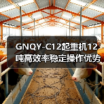 GNQY-C12起重机12吨高效率稳定操作优势解析（图1）
