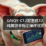 GNQY-C12起重机12吨高效率稳定操作优势解析（图3）