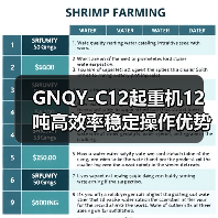 GNQY-C12起重机12吨高效率稳定操作优势解析（图4）