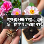 高效省时选工程式搅拌站!稳定性能如何实现?(图2) 高效省时选工程式搅拌站!稳定性能如何实现?(图2)