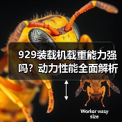 929装载机载重能力强吗？动力性能全面解析