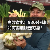高效省电！930装载机如何实现稳定可靠？（图1）