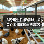 6吨起重性能卓越，GNQY-Z485起重机高效作业优势分析（图1）