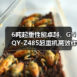 6吨起重性能卓越，GNQY-Z485起重机高效作业优势分析（图3）