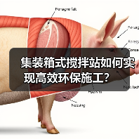 集装箱式搅拌站如何实现高效环保施工?(图1) 集装箱式搅拌站如何实现高效环保施工?(图1)