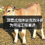 顶置式搅拌站高效环保为何成工程首选(图3) 顶置式搅拌站高效环保为何成工程首选(图3)