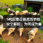 5吨起重设备高效节能安全解析,为何成为首选?(图2) 5吨起重设备高效节能安全解析,为何成为首选?(图2)