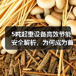5吨起重设备高效节能安全解析,为何成为首选?(图3) 5吨起重设备高效节能安全解析,为何成为首选?(图3)