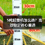 5吨起重机怎么选?高效稳定省心首选(图1) 5吨起重机怎么选?高效稳定省心首选(图1)