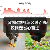5吨起重机怎么选?高效稳定省心首选(图4) 5吨起重机怎么选?高效稳定省心首选(图4)