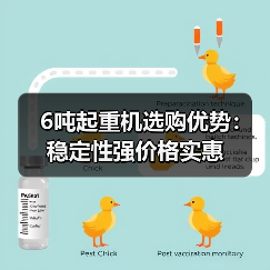 6吨起重机选购优势：稳定性强价格实惠（图2）