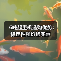 6吨起重机选购优势：稳定性强价格实惠（图4）