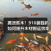 高效抓木!918装载机如何提升木材搬运效率?(图3) 高效抓木!918装载机如何提升木材搬运效率?(图3)
