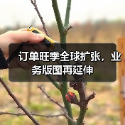 订单旺季全球扩张,业务版图再延伸(图2) 订单旺季全球扩张,业务版图再延伸(图2)