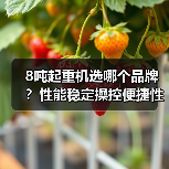 8吨起重机选哪个品牌?性能稳定操控便捷性价比高(图1) 8吨起重机选哪个品牌?性能稳定操控便捷性价比高(图1)
