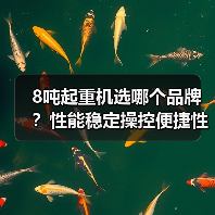 8吨起重机选哪个品牌?性能稳定操控便捷性价比高(图3) 8吨起重机选哪个品牌?性能稳定操控便捷性价比高(图3)
