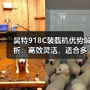 昊特918C装载机优势解析:高效灵活,适合多场景作业(图4) 昊特918C装载机优势解析:高效灵活,适合多场景作业(图4)