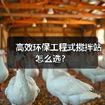 高效环保工程式搅拌站怎么选?(图4) 高效环保工程式搅拌站怎么选?(图4)