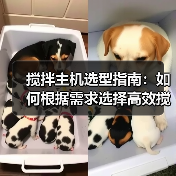 搅拌主机选型指南:如何根据需求选择高效搅拌设备?(图2) 搅拌主机选型指南:如何根据需求选择高效搅拌设备?(图2)