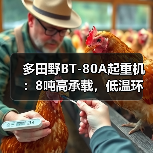 多田野BT-80A起重机：8吨高承载，低温环境高效作业（图4）