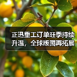 正迅重工订单旺季持续升温，全球版图再拓展！（图3）