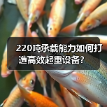 220吨承载能力如何打造高效起重设备?(图4) 220吨承载能力如何打造高效起重设备?(图4)