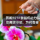 凯斯921F装载机动力强劲高效节能，为何备受青睐？（图3）