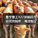 鲁宇重工922装载机性能优势解析:高效稳定,耐用省心(图3) 鲁宇重工922装载机性能优势解析:高效稳定,耐用省心(图3)
