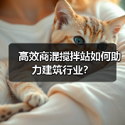高效商混搅拌站如何助力建筑行业?(图3) 高效商混搅拌站如何助力建筑行业?(图3)