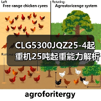 CLG5300JQZ25-4起重机25吨起重能力解析(图1) CLG5300JQZ25-4起重机25吨起重能力解析(图1)
