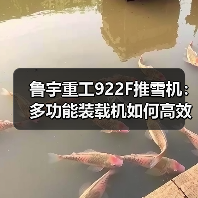 鲁宇重工922F推雪机:多功能装载机如何高效应对雪地作业?(图1) 鲁宇重工922F推雪机:多功能装载机如何高效应对雪地作业?(图1)