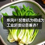 东风8T起重机为何成为工业起重设备首选?(图1) 东风8T起重机为何成为工业起重设备首选?(图1)