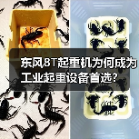 东风8T起重机为何成为工业起重设备首选?(图4) 东风8T起重机为何成为工业起重设备首选?(图4)