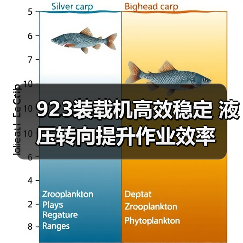 923装载机高效稳定 液压转向提升作业效率（图3）