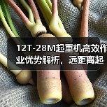12T-28M起重机高效作业优势解析,远距离起重更轻松(图1) 12T-28M起重机高效作业优势解析,远距离起重更轻松(图1)