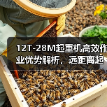 12T-28M起重机高效作业优势解析,远距离起重更轻松(图3) 12T-28M起重机高效作业优势解析,远距离起重更轻松(图3)
