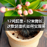 12吨起重+32米臂长,这款起重机如何实现高效作业?(图3) 12吨起重+32米臂长,这款起重机如何实现高效作业?(图3)