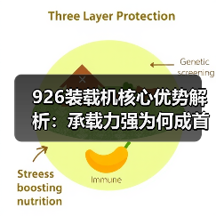 926装载机核心优势解析:承载力强为何成首选?(图4) 926装载机核心优势解析:承载力强为何成首选?(图4)
