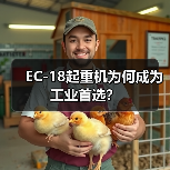 EC-18起重机为何成为工业首选?(图2) EC-18起重机为何成为工业首选?(图2)