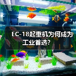 EC-18起重机为何成为工业首选?(图4) EC-18起重机为何成为工业首选?(图4)