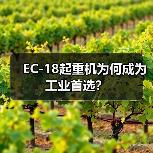 EC-18起重机为何成为工业首选?(图3) EC-18起重机为何成为工业首选?(图3)