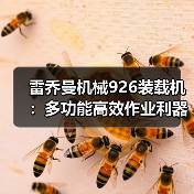 雷乔曼机械926装载机:多功能高效作业利器(图2) 雷乔曼机械926装载机:多功能高效作业利器(图2)