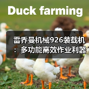 雷乔曼机械926装载机:多功能高效作业利器(图1) 雷乔曼机械926装载机:多功能高效作业利器(图1)
