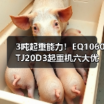 3吨起重能力!EQ1060TJ20D3起重机六大优势解析(图2) 3吨起重能力!EQ1060TJ20D3起重机六大优势解析(图2)