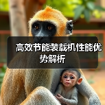 高效节能装载机性能优势解析（图3）