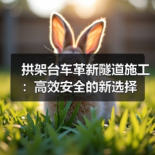 拱架台车革新隧道施工:高效安全的新选择(图3) 拱架台车革新隧道施工:高效安全的新选择(图3)