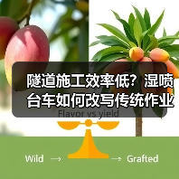 隧道施工效率低?湿喷台车如何改写传统作业模式?(图2) 隧道施工效率低?湿喷台车如何改写传统作业模式?(图2)