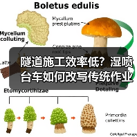 隧道施工效率低?湿喷台车如何改写传统作业模式?(图4) 隧道施工效率低?湿喷台车如何改写传统作业模式?(图4)