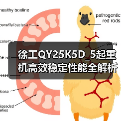 徐工QY25K5D_5起重机高效稳定性能全解析(图1) 徐工QY25K5D_5起重机高效稳定性能全解析(图1)